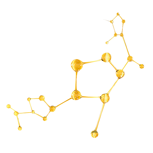 分子