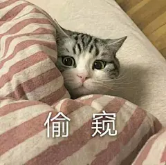 女孩子可爱沙雕表情包_百度图片搜索