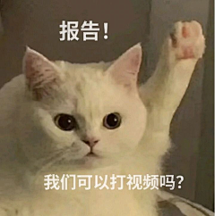 付晋涵采集到搞笑的