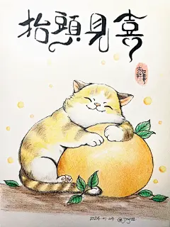 #抬头见喜# 一只胖橘 - 小红书
