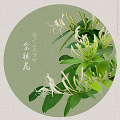 江岸野蕊采集到中国风场景