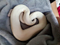 Love Letter In Valentine By White Python Snake