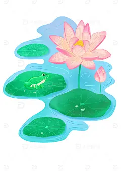手绘夏日荷花绿叶青蛙