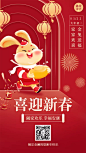 春节兔年金融保险节日祝福创意插画手机海报