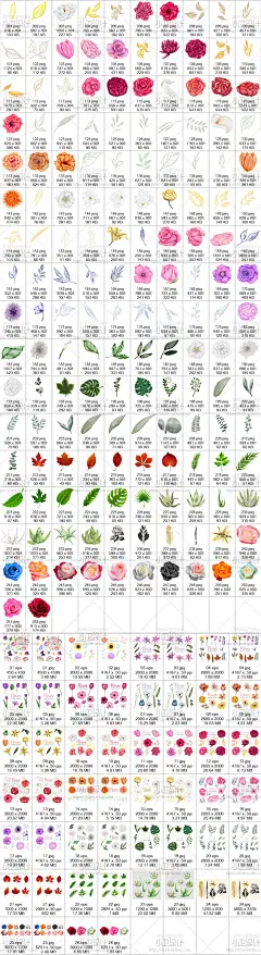 免扣花卉花朵叶子水彩手绘ai矢量插画植物绿叶枫叶平面设计素材图-淘宝网