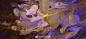 88f04e39ly1g7ng66mko6j21ty0u0he0