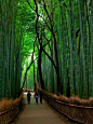 日本京都西部的岚山公园。