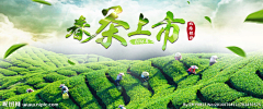 扶苏-采集到banner