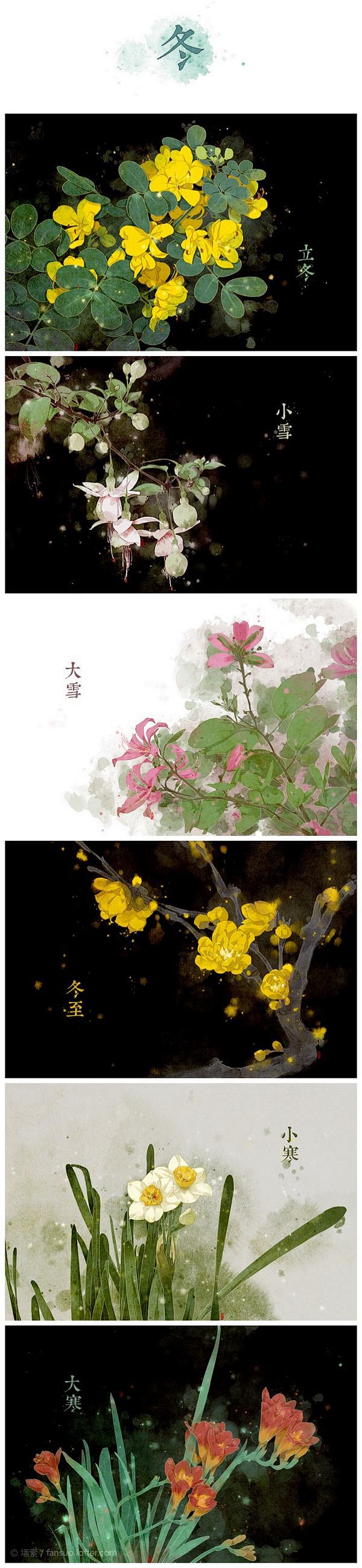 节气之美：二十四节气花卉图