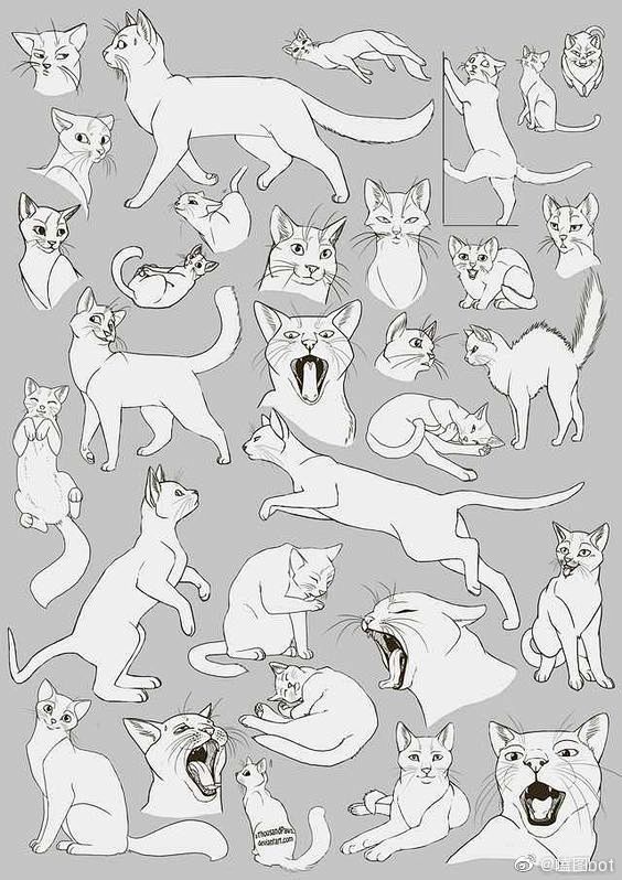 【#绘画参考# 】没有猫猫的小画家，就来...