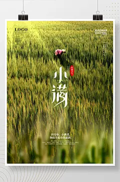 简约风小清新麦田小满节气宣传海报