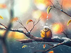 雨中的鸟 手绘