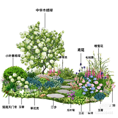 Wesley88采集到植物