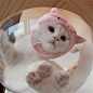 养猪专业户才能养出这样可爱的小猪