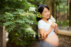 DecemberStudio采集到December - Maternity