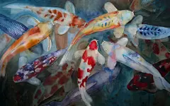 富贵鲤鱼写真24寸宽屏高清桌面壁纸下载桌面壁纸2