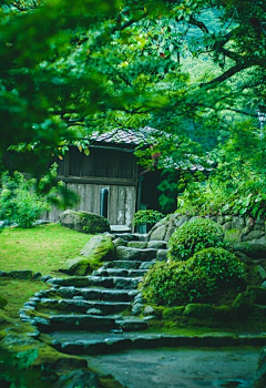 番茄你的西红柿采集到国风