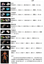 《热血传奇》1.76装备大全