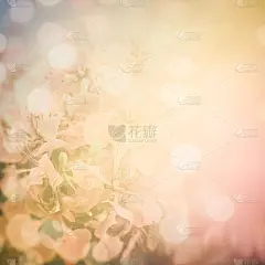 纸,凤凰木,背景,红色,美,贺卡,纹理效果,古老的,古典式,夏天