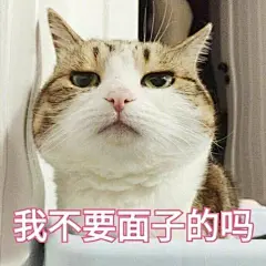 为什么很多知乎用户喜欢使用猫咪的表情包？ - 知乎