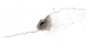 Damaged Walls (Masked) (55)