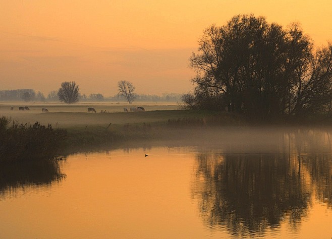35PHOTO - Johny Heme...