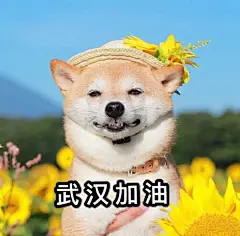 萌宠gif动态图片、汪星人武汉加油武汉一定会好起来的可爱阳光动图表情包下载 - 影视综艺明星表情搜索 - soogif动图