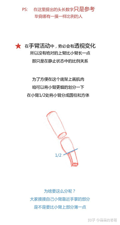 宇治抹茶ivey采集到人体