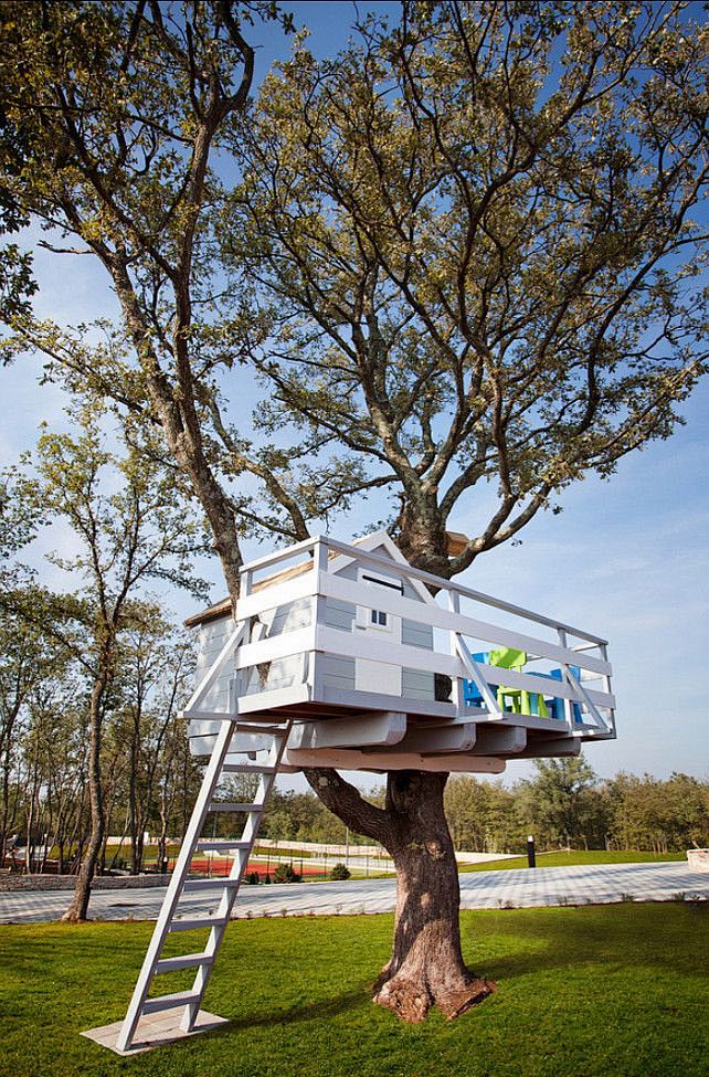 #Costal #Treehouse T...