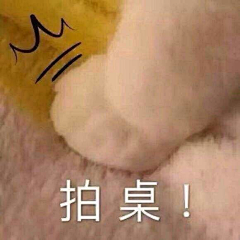 叶梓汐-Elaine采集到表情包