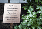 010-Physic Garden by Thorbjörn Andersson with Sweco architects