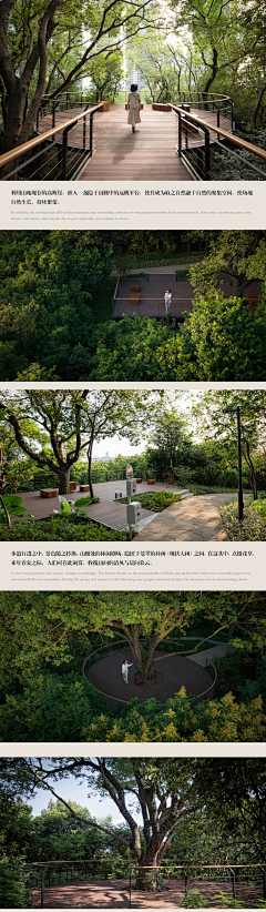 蕾蕾酱酱采集到观-gjt