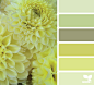 You searched for P7 | Design Seeds