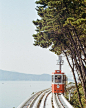Photo by Casual Grains – Film Photography on November 05, 2023. May be an image of train, cablecar, trolley, railroad and text.