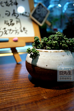 Hedy妮子采集到淘宝产品