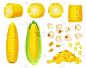 Cartoon corn. Golden maize harvest, popcorn corny 