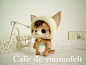 日本非常出名的羊毛毡老师 这个猫猫系列是她的经典作品 网站地址http://t.cn/aEG2de http://t.cn/aEG2gv