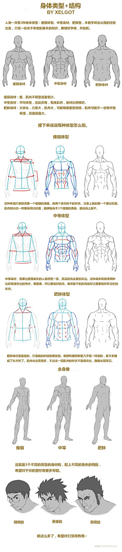 宅着画画采集到男人体