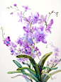 Original Large watercolor Painting Orchids 18 X 24 by ORIGINALONLY