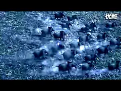 广告也震惊的微博 新浪微博-随时随地分享身边的新鲜事儿