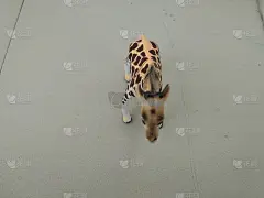 儿童玩具