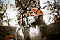 STIHL Power Tools : Recent work for STIHL from Fedele Studios.