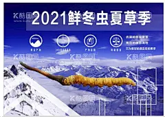 2021虫草海报展板  - 源文件下载【酷图网】2021,冬虫夏草冬,虫草招牌,虫草图片,虫夏草海报,虫草花广告,虫草花宣传,虫草花宣传单,虫草花灯箱,虫草花壁画,虫草海报,虫草广告,蛹虫草广告,冬虫夏草广告,虫草,虫草喷绘,冬虫夏草展板,虫草展板,补品,海报,设计,中药,广告设计,海报设计,150DPI,PSD,