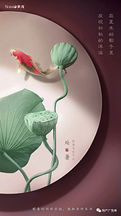 IRis0426采集到节气稿