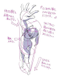 【板绘素材】俯视视角人体大透视绘画参考