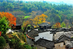 Melly米采集到景物