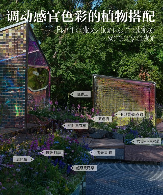 植物配置实景 (37)