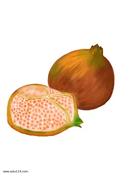 秋分秋收的果实石榴插画图片png免抠元素卡通手绘背景装饰免扣图片设计图案
