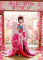 #加藤惠的樱花和服ver #加藤惠cn：矮乐多Aliga