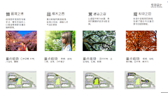 素~笺采集到分析图
